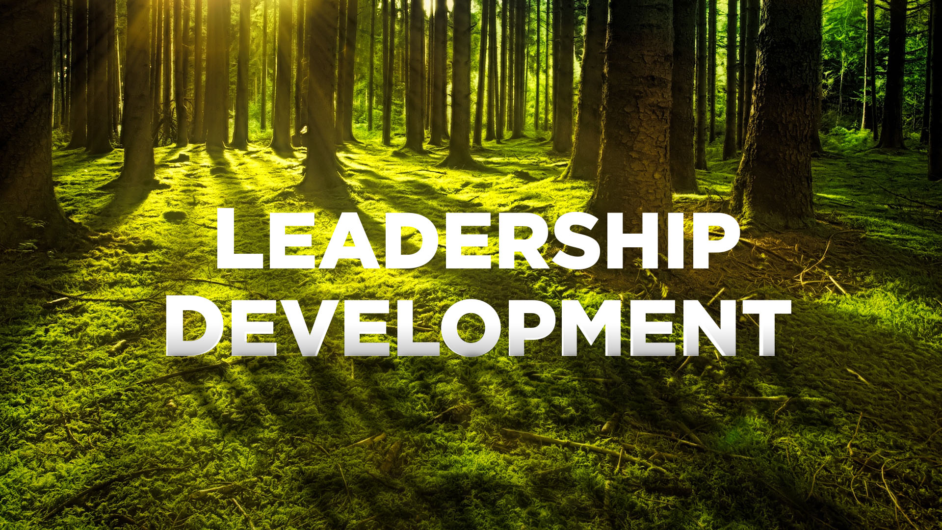 the forest of leadership development